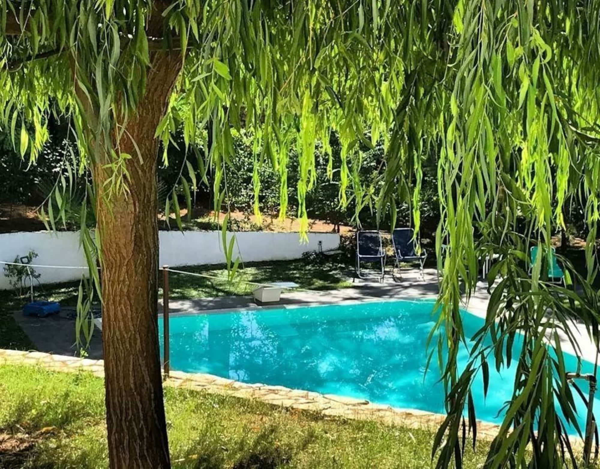 Villa La Mattina 皮亚扎-阿尔梅里纳 外观 照片